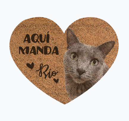 [Felpucat] FelpuCat